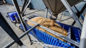 Отгрузки российских зерновозов сократились на 86,8%